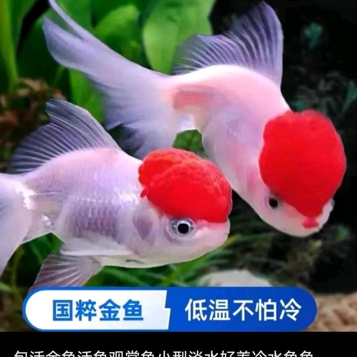 向幸福跑的我