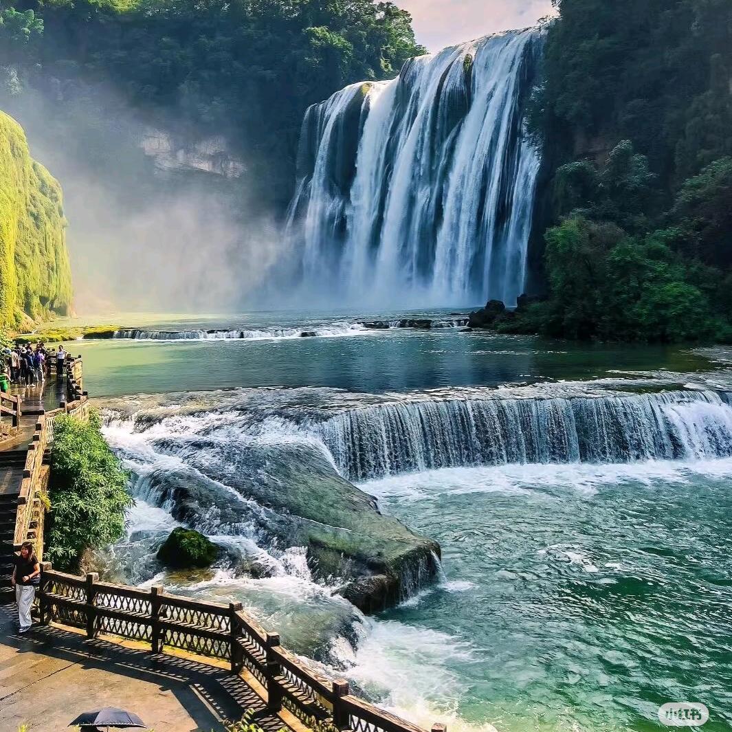 自由旅行家