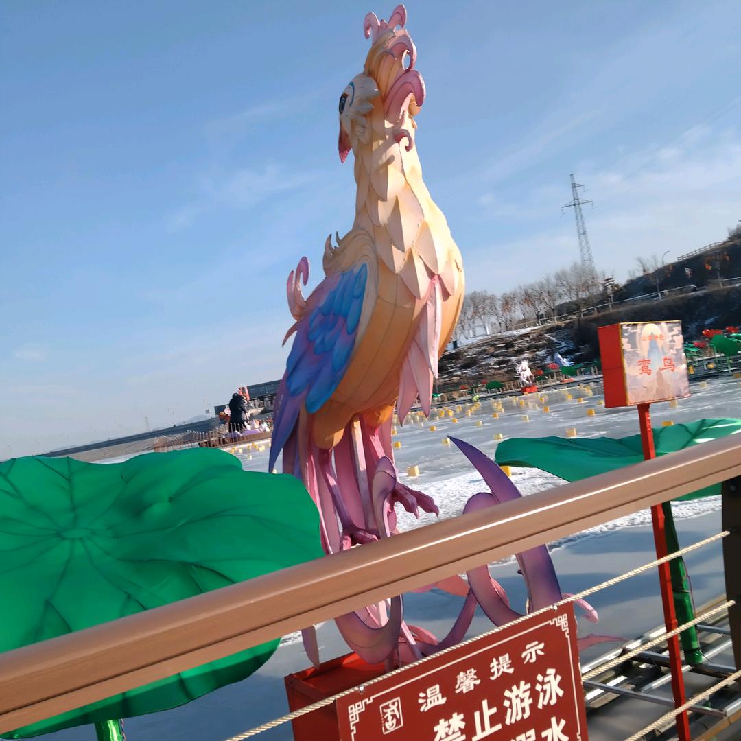 单身旅行者