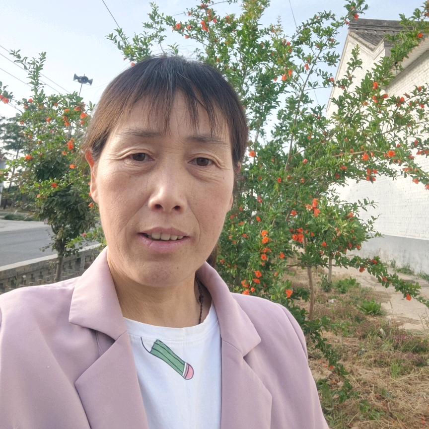 依萍