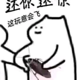 深爱不及久伴🐒