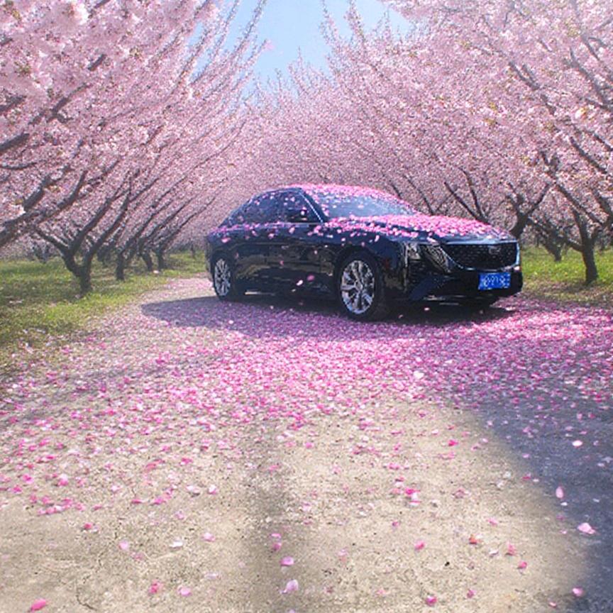 এ   钦  ོএ᭄࿐