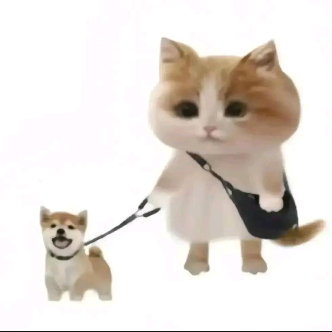 张不大.