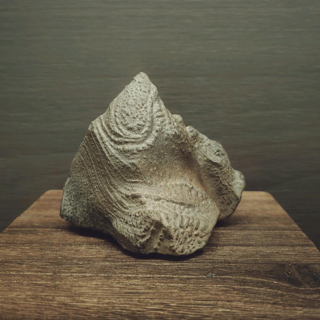 森燚