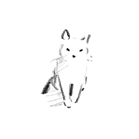 独