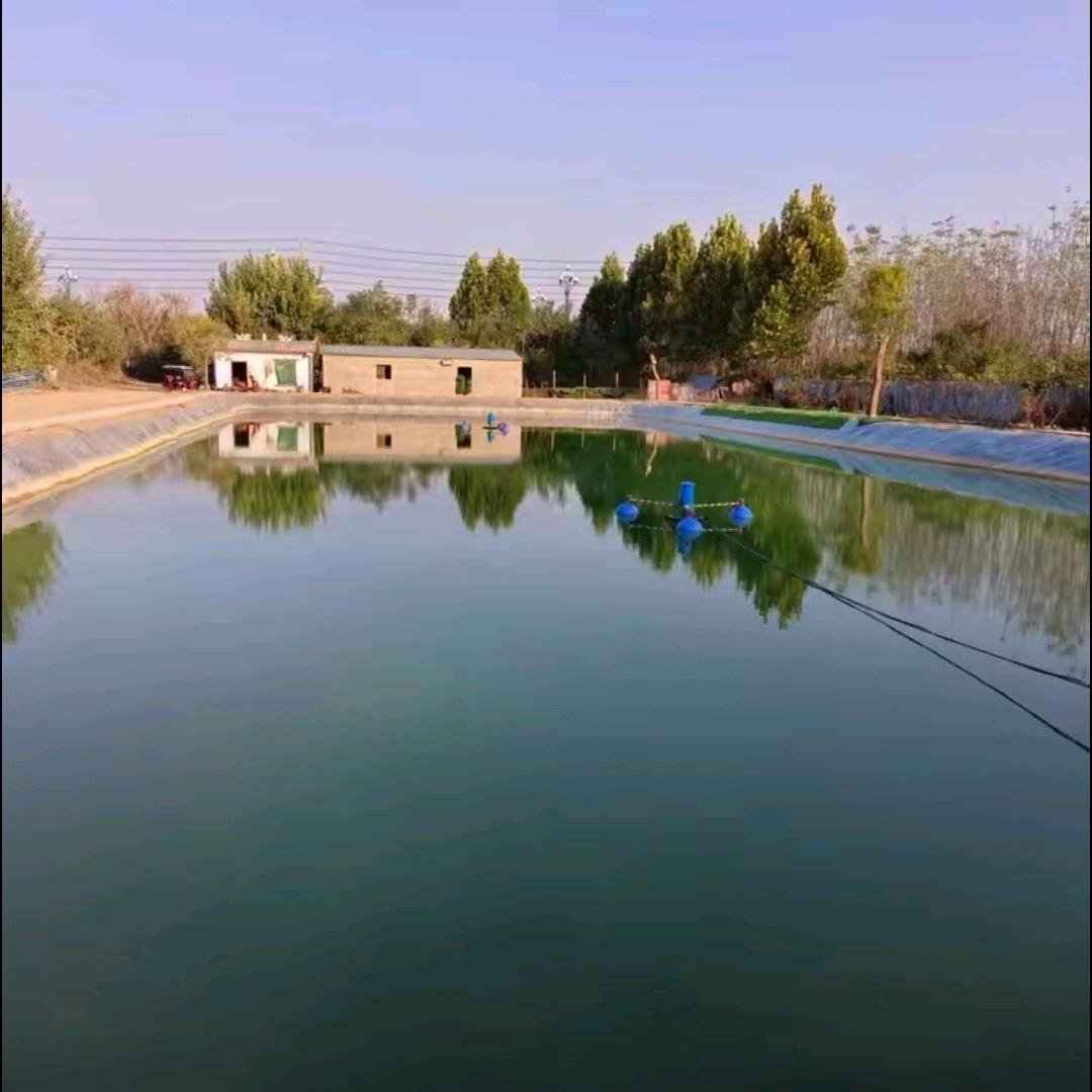 干黑坑的小伙子