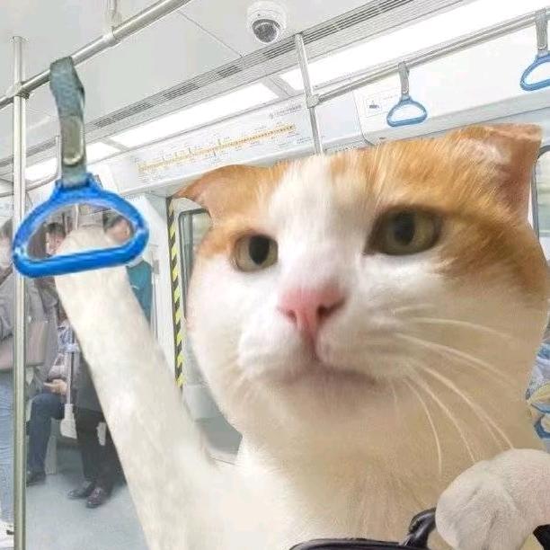 成的