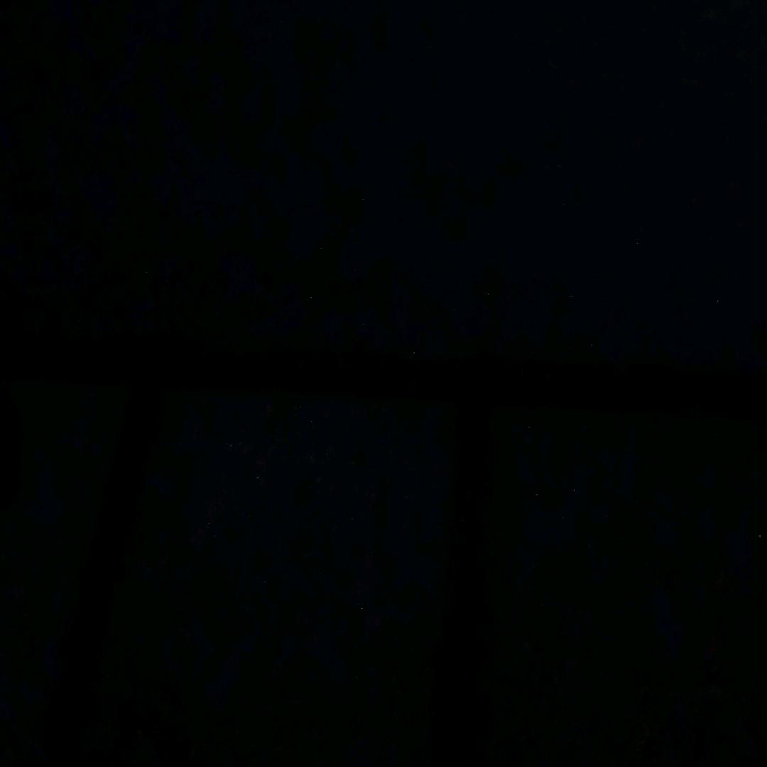 宜宾魔芸胡蜂养殖
