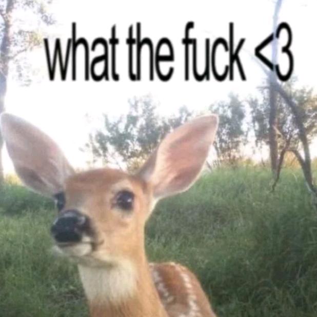 是志