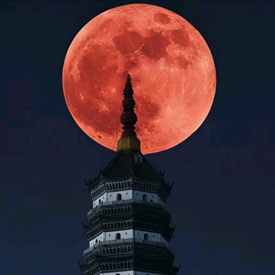 民民❤️&念念🌹 ，