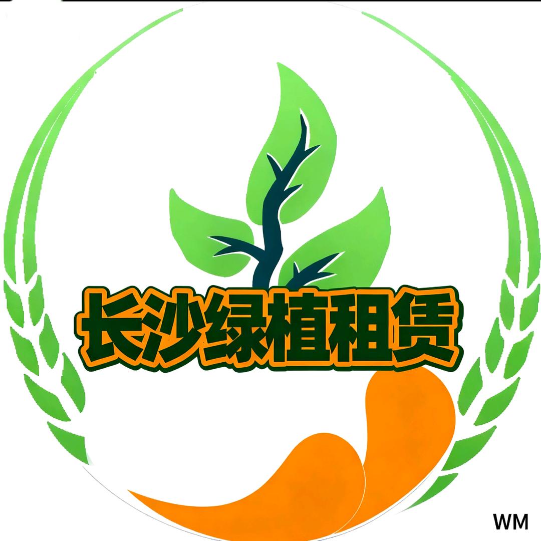 长沙文木绿植租赁-t1an