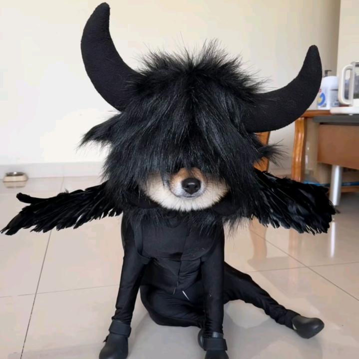 黑色玫瑰