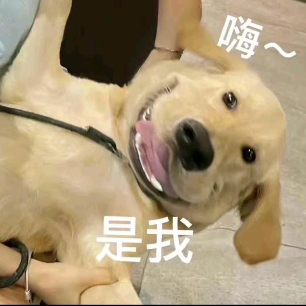 Zhᴗang¹⁸