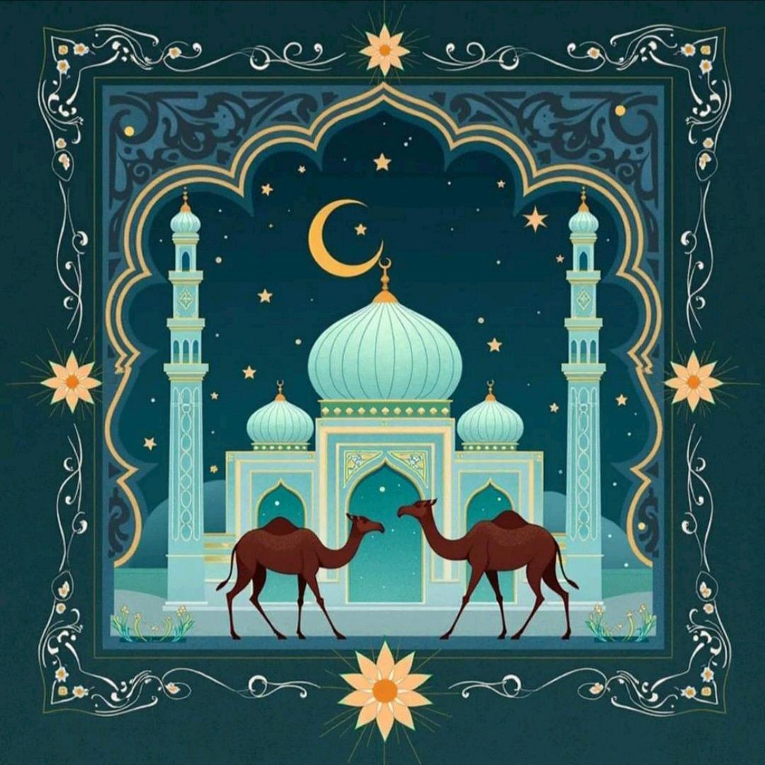 巴基斯坦名品馆甄选