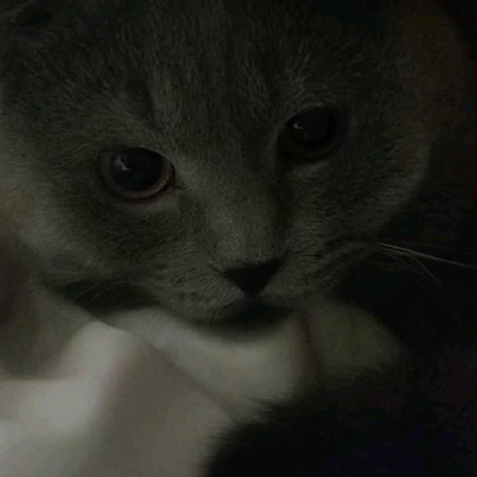 AAA卫生纸批发老程