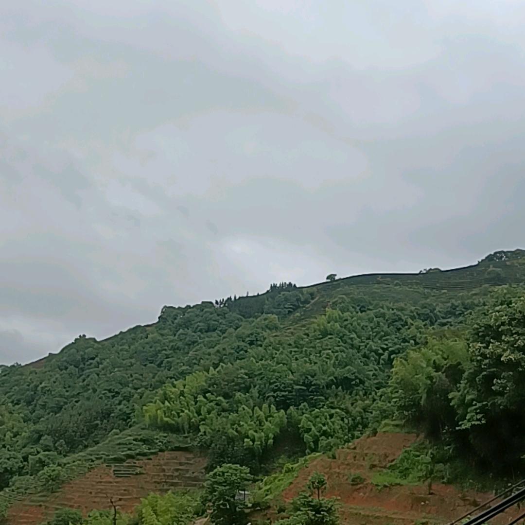 洋欣服装店