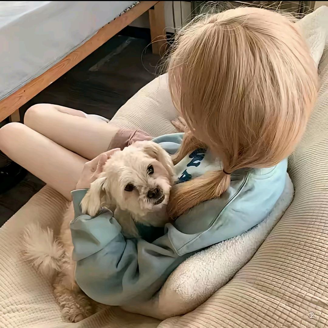 y芷.
