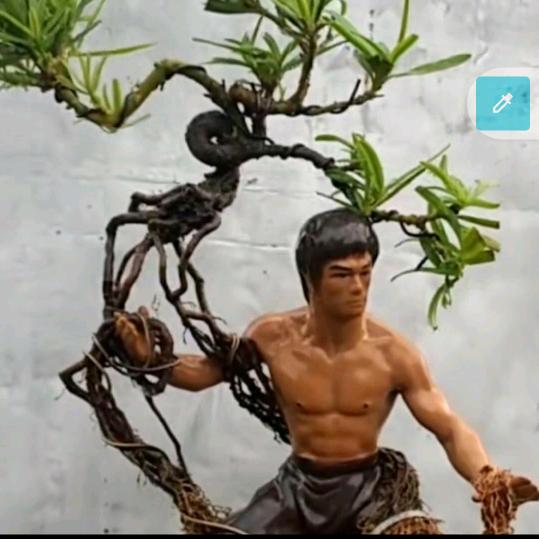 潇洒人生