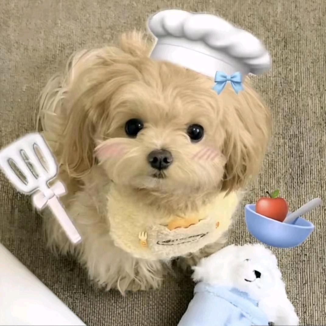 凌晨四点喂鸡撞见老公和男小三私会怒砸鸡屎