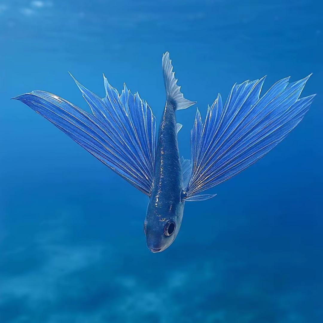ღ安静ꦿᮨ້໌࿐