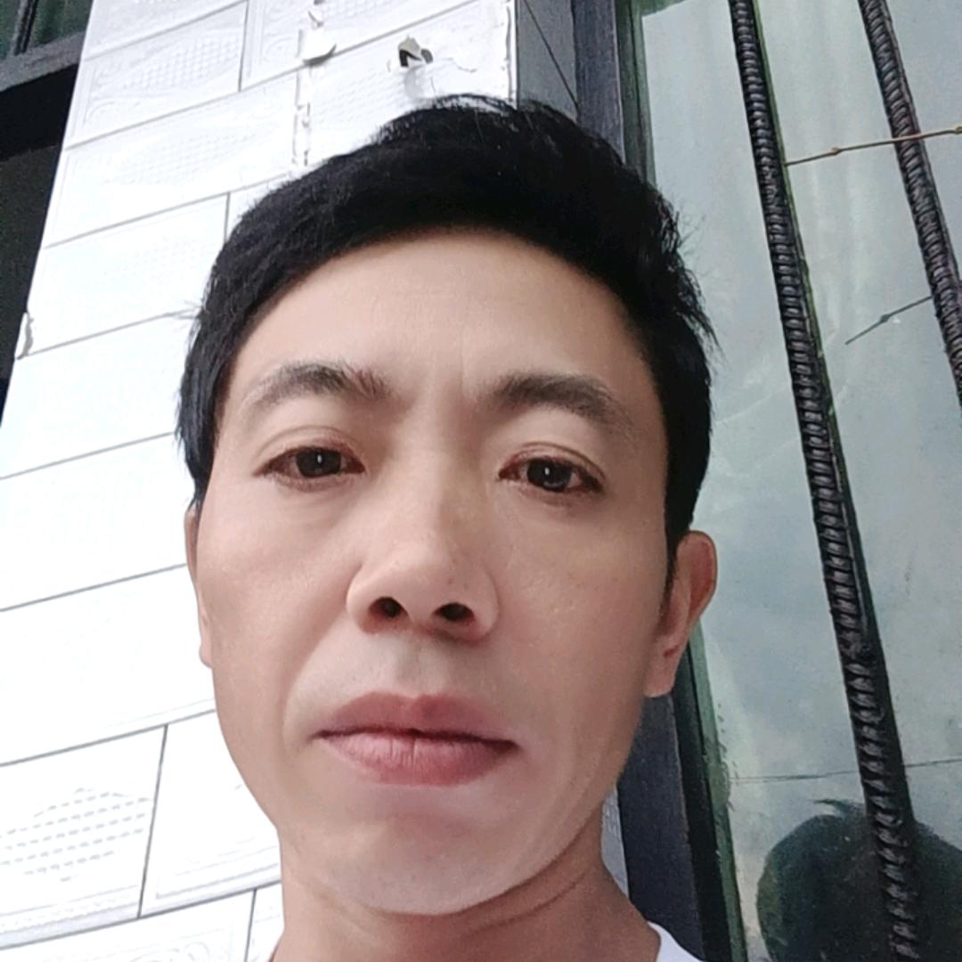 龙金