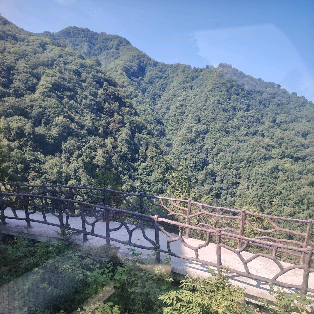 风车车