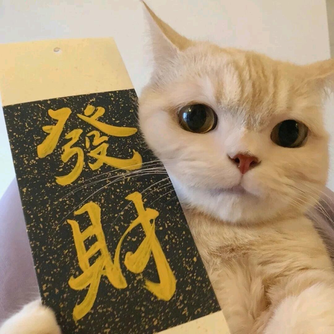 U•ェ•*U