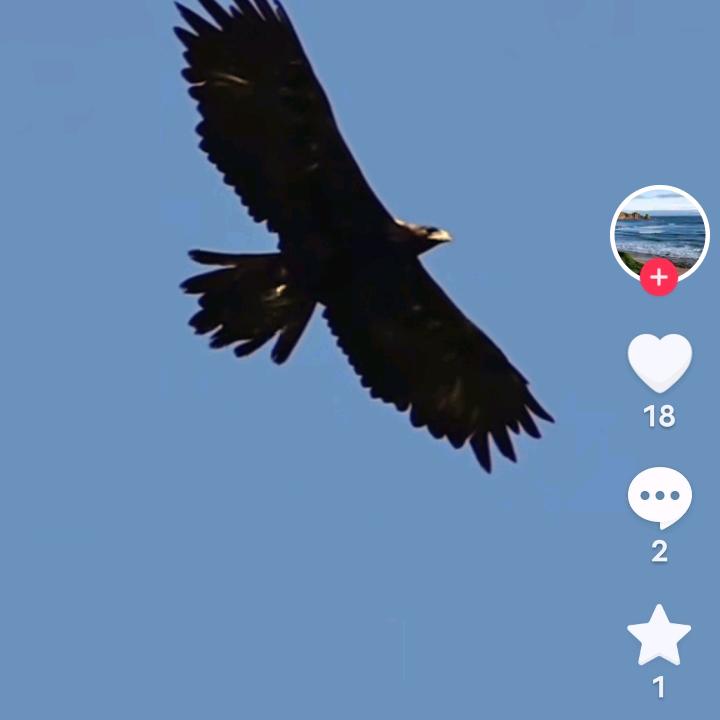 努力搞钱🇨🇳🇨🇳