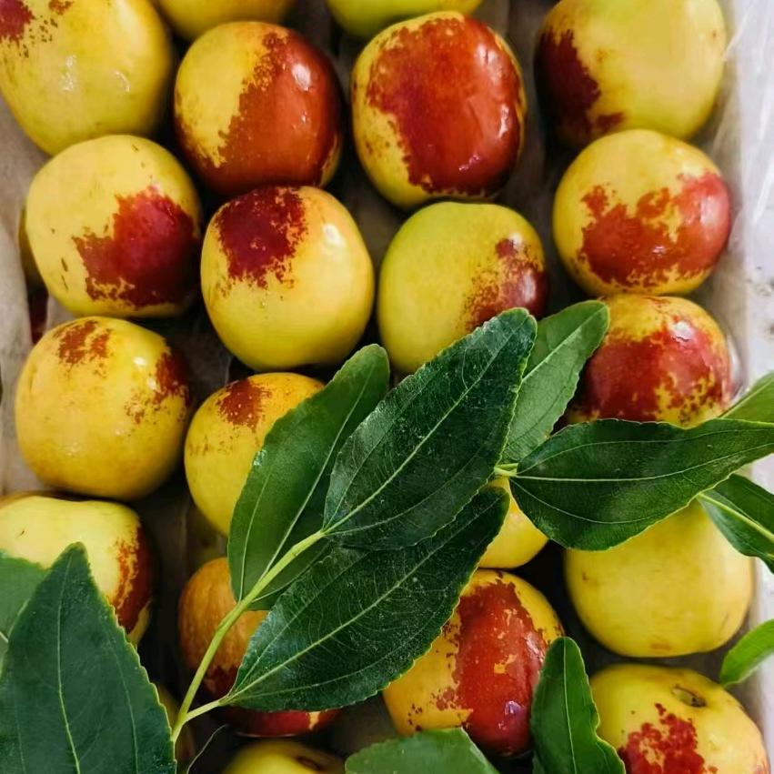 果鲜生（小胖）