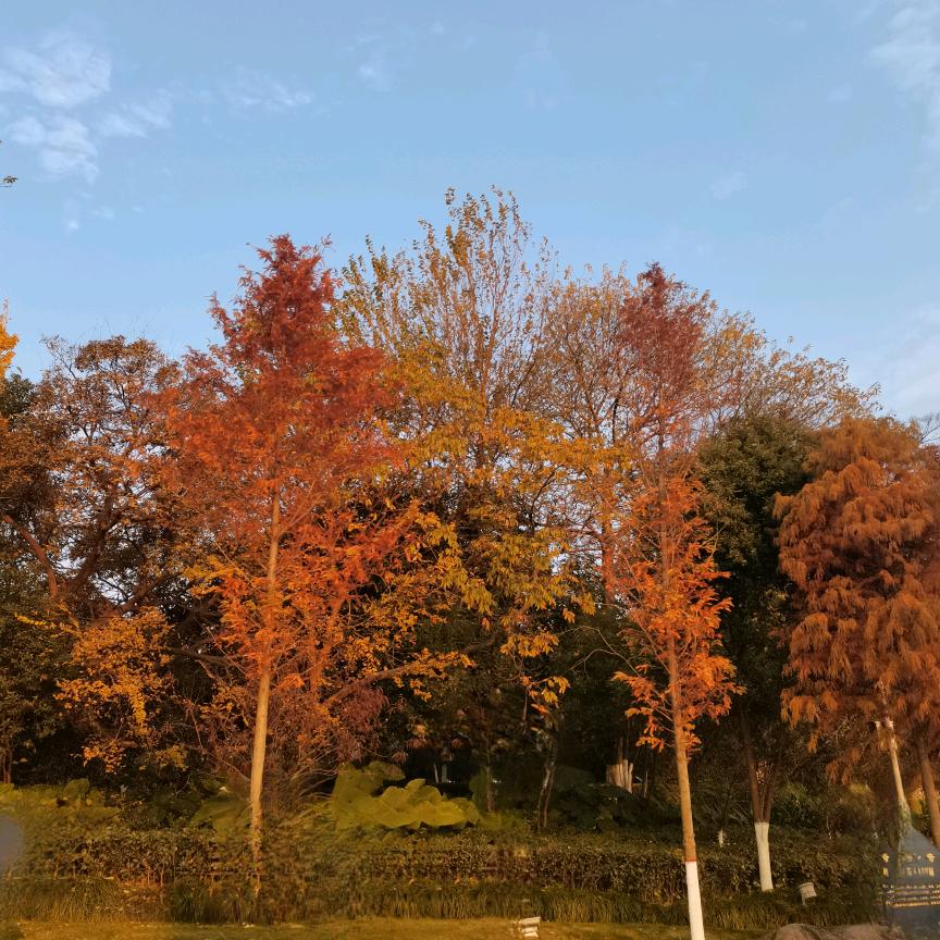 小杰