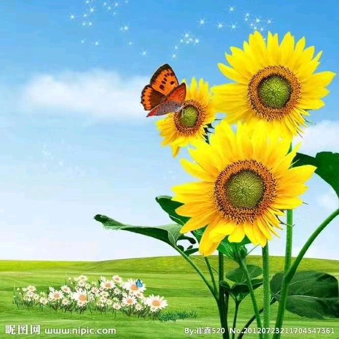 转心❤️随境