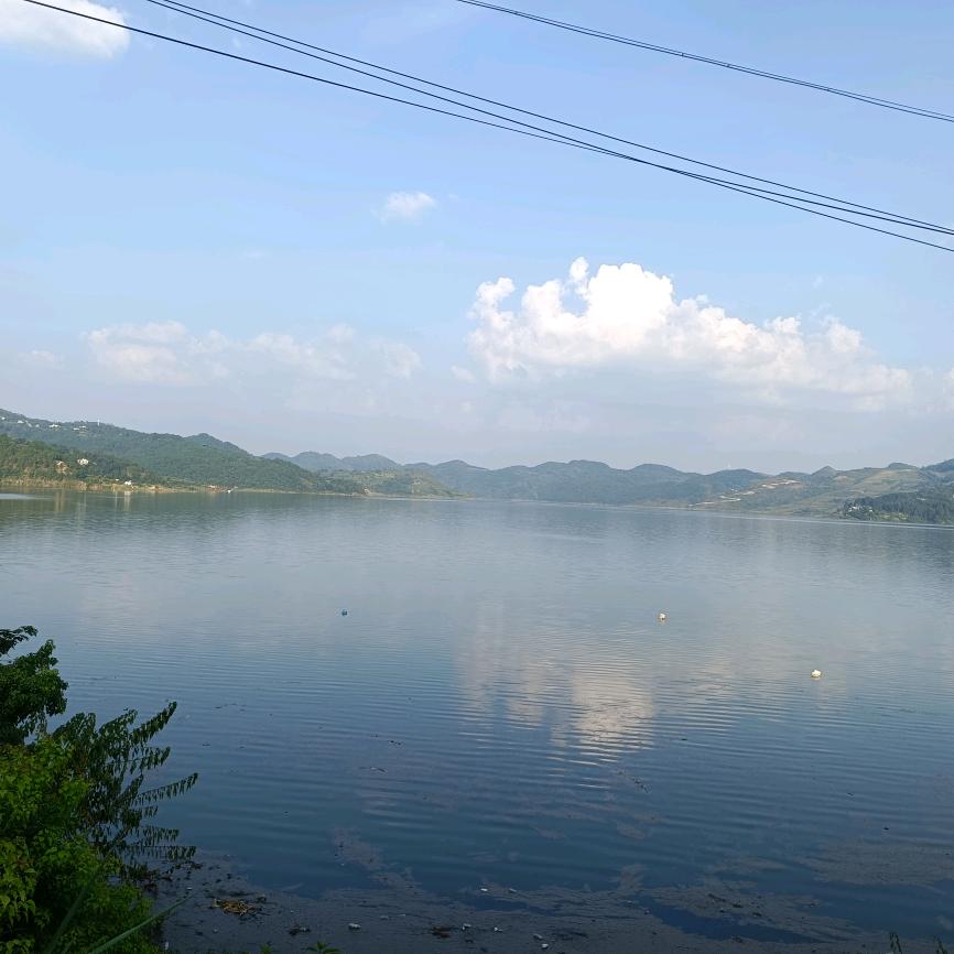 喵喵ゅつなっ