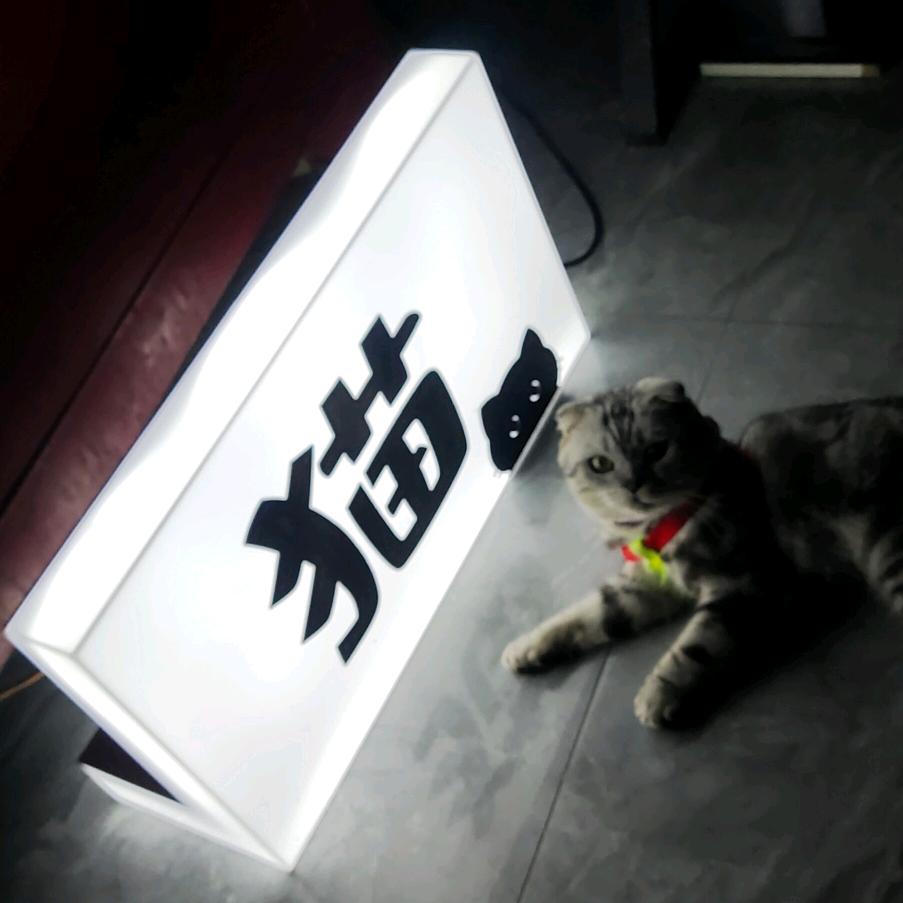 紫星