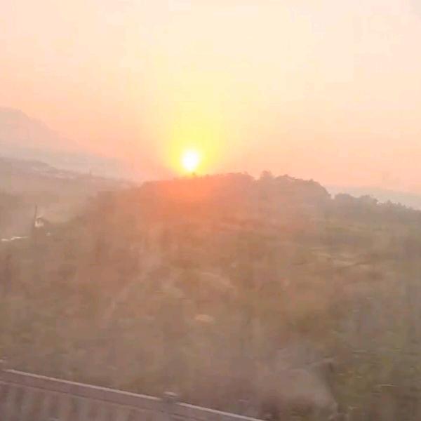 青春的小院