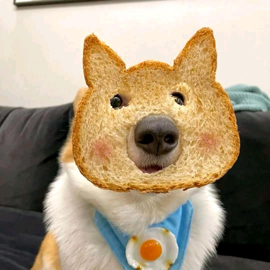 吃饱饱没烦恼