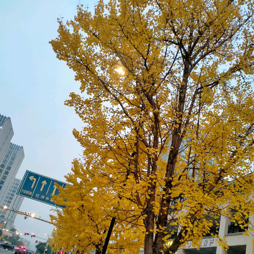 开心快乐每一天！！！