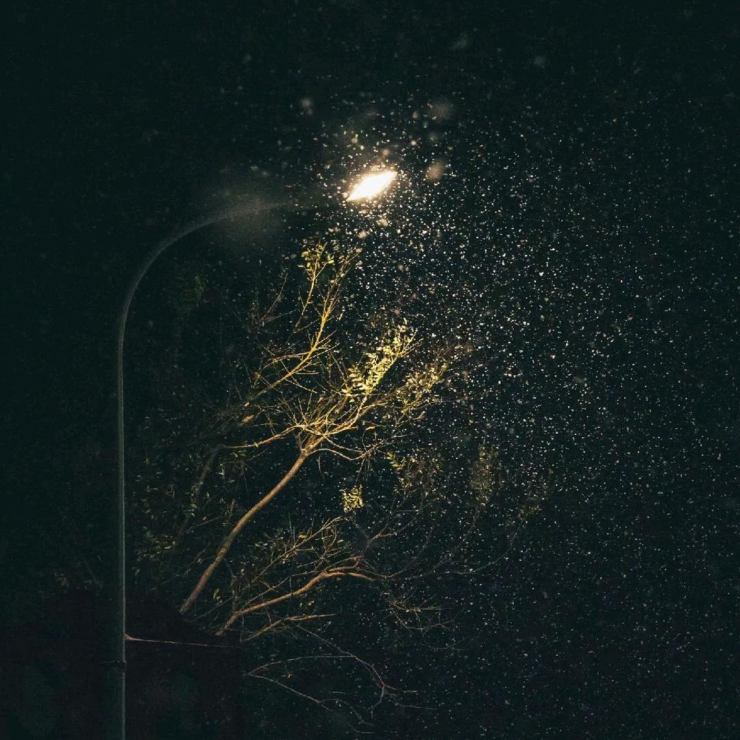 慕ℯ⃝雪