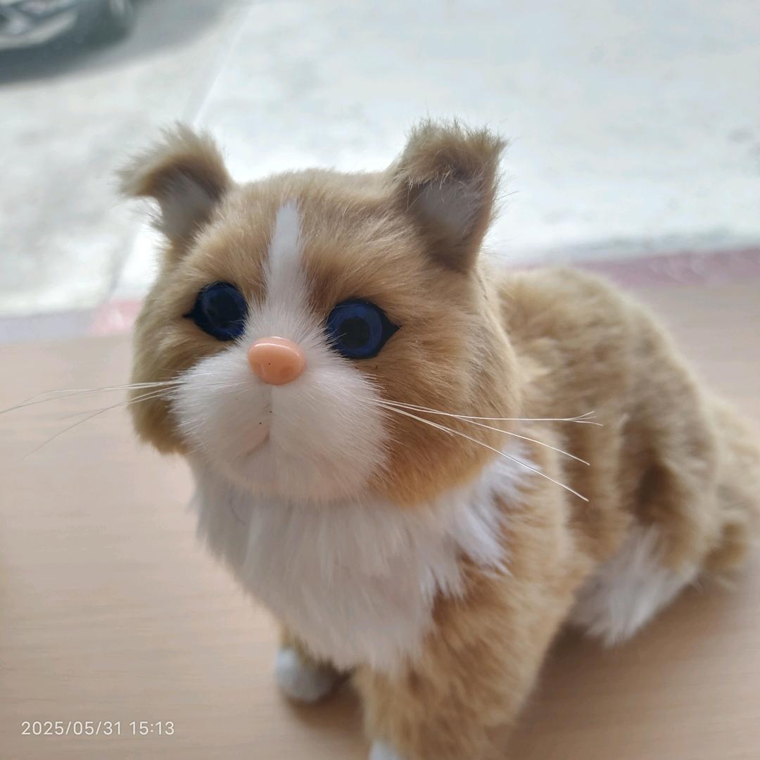 生活已是一团麻，唯有开心最重要