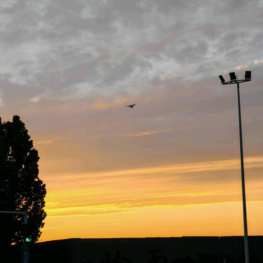 小俊的幸福生活