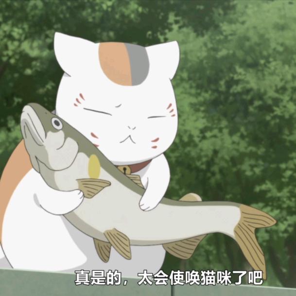 爱吃陈皮糖