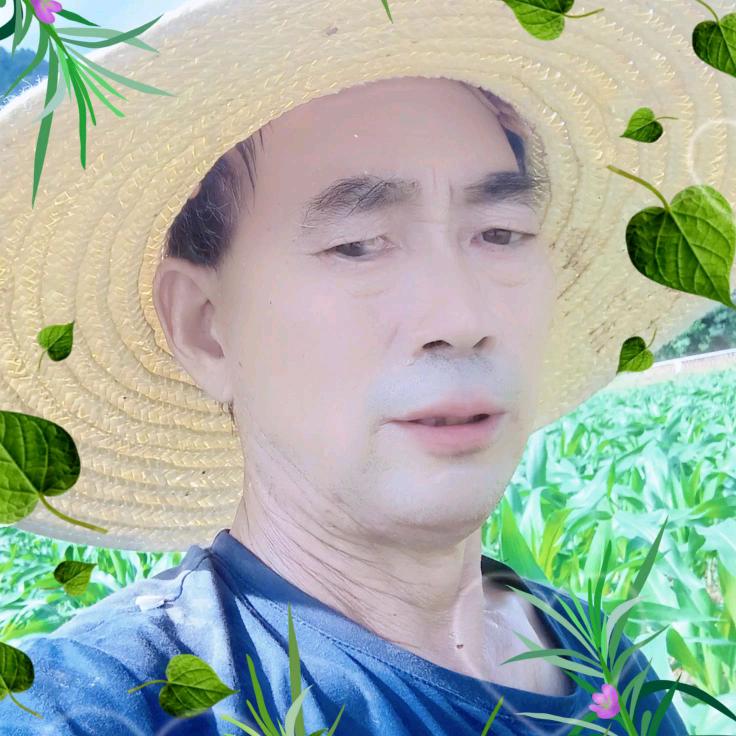 贾寿英