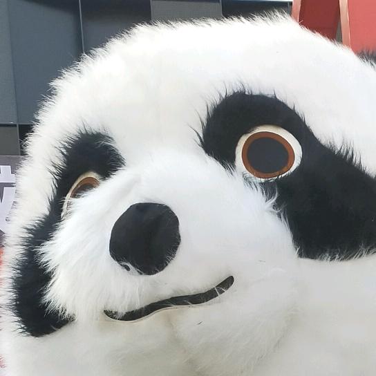 一只小胖猪