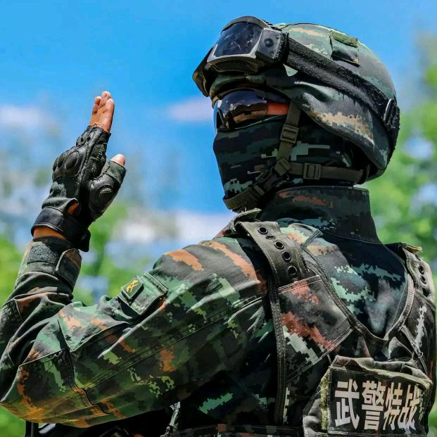 🇨🇳麋鹿归林🌈🇨🇳