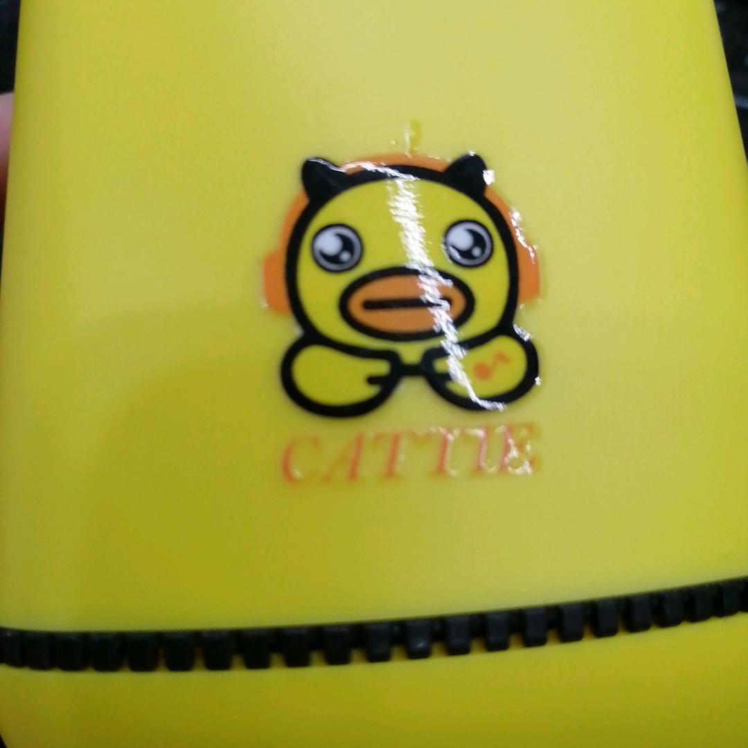辣是菜