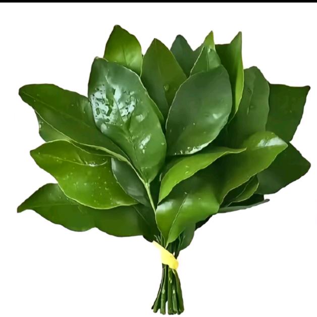 我果然是皇帝👑