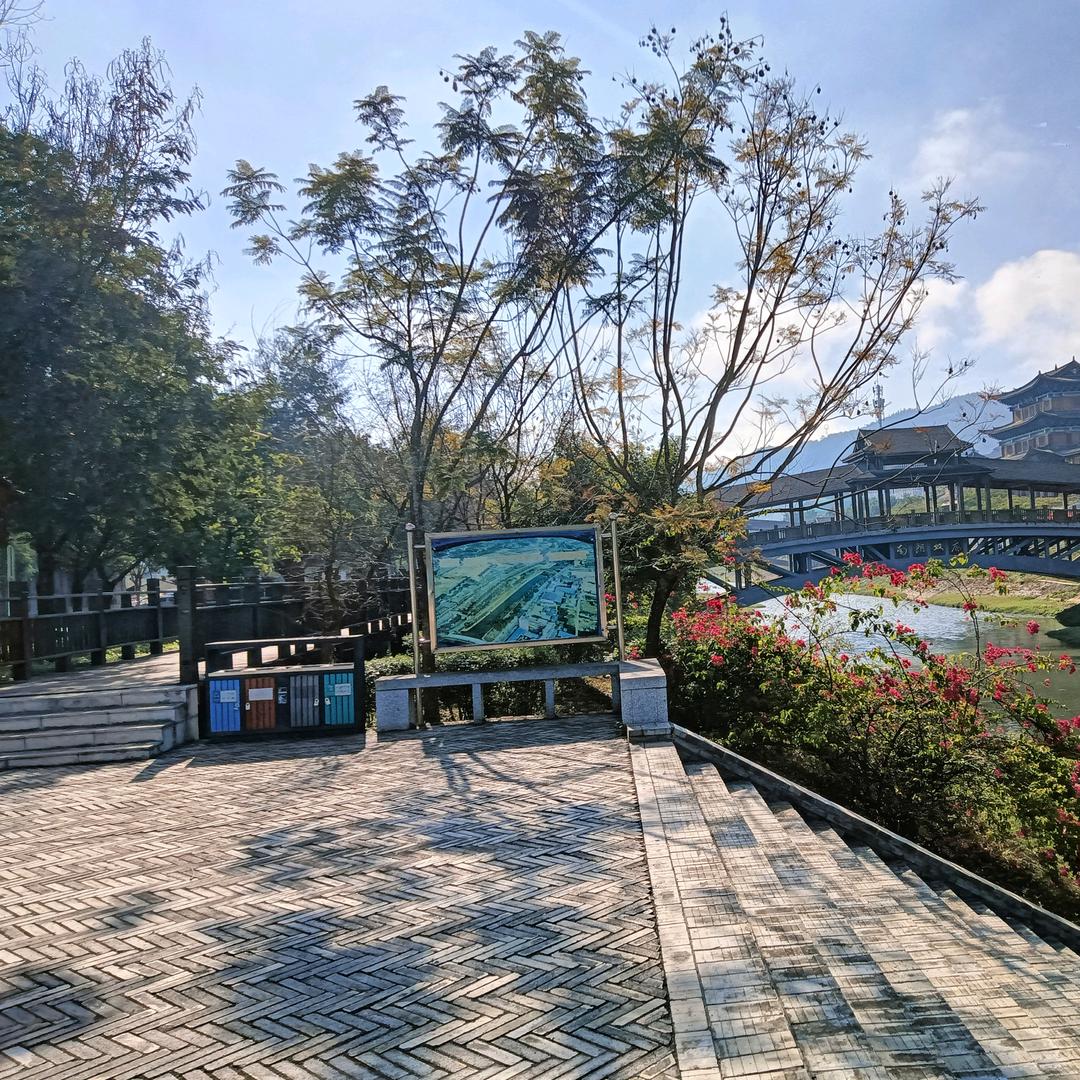 杨🇨🇳