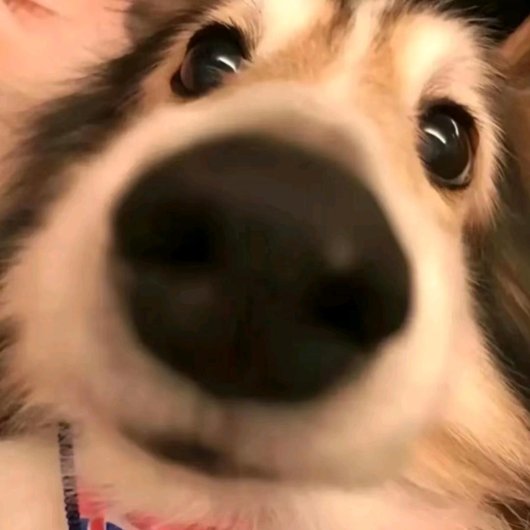 路与书