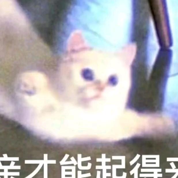 「困鸢尾」（忧郁ing...）