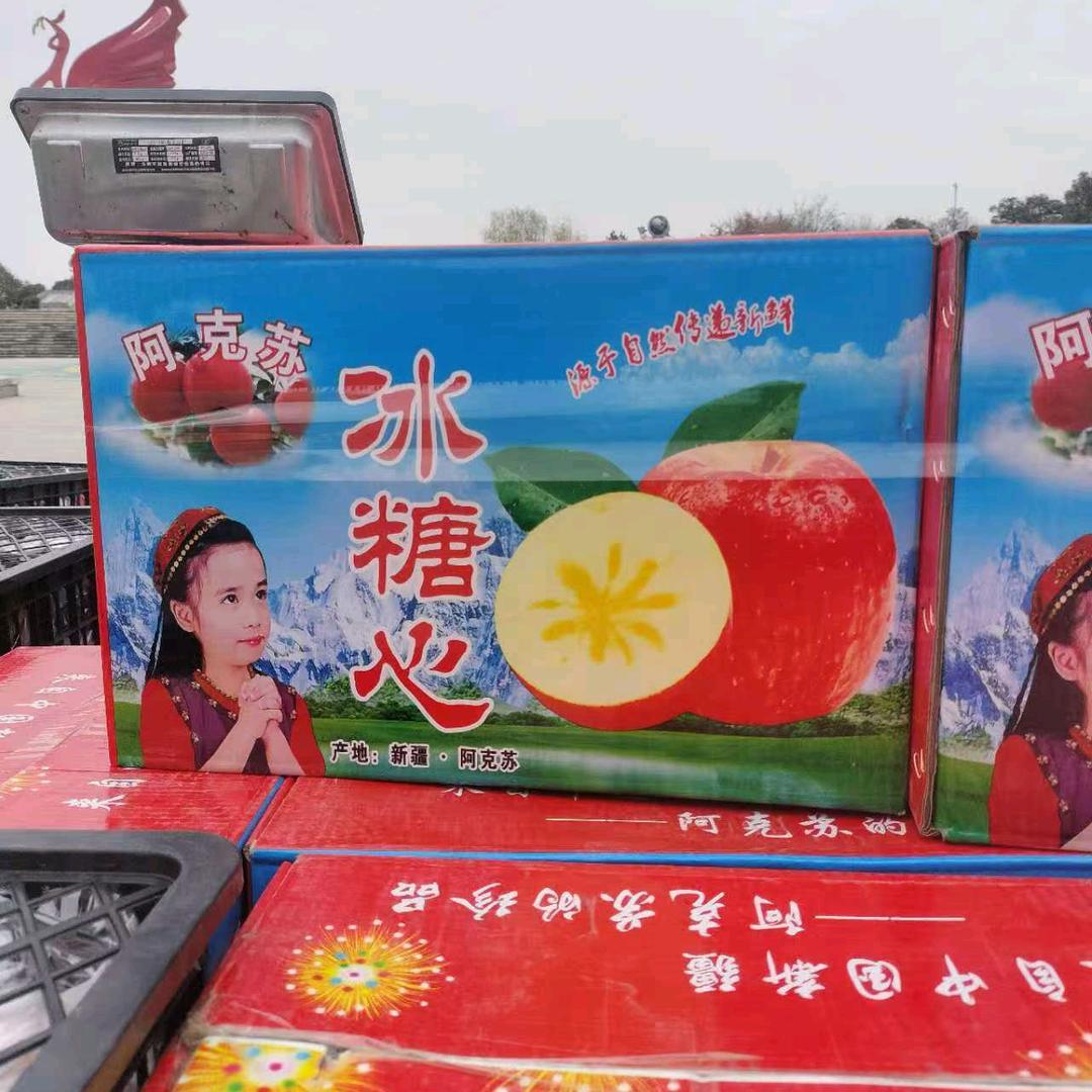 归来的游子