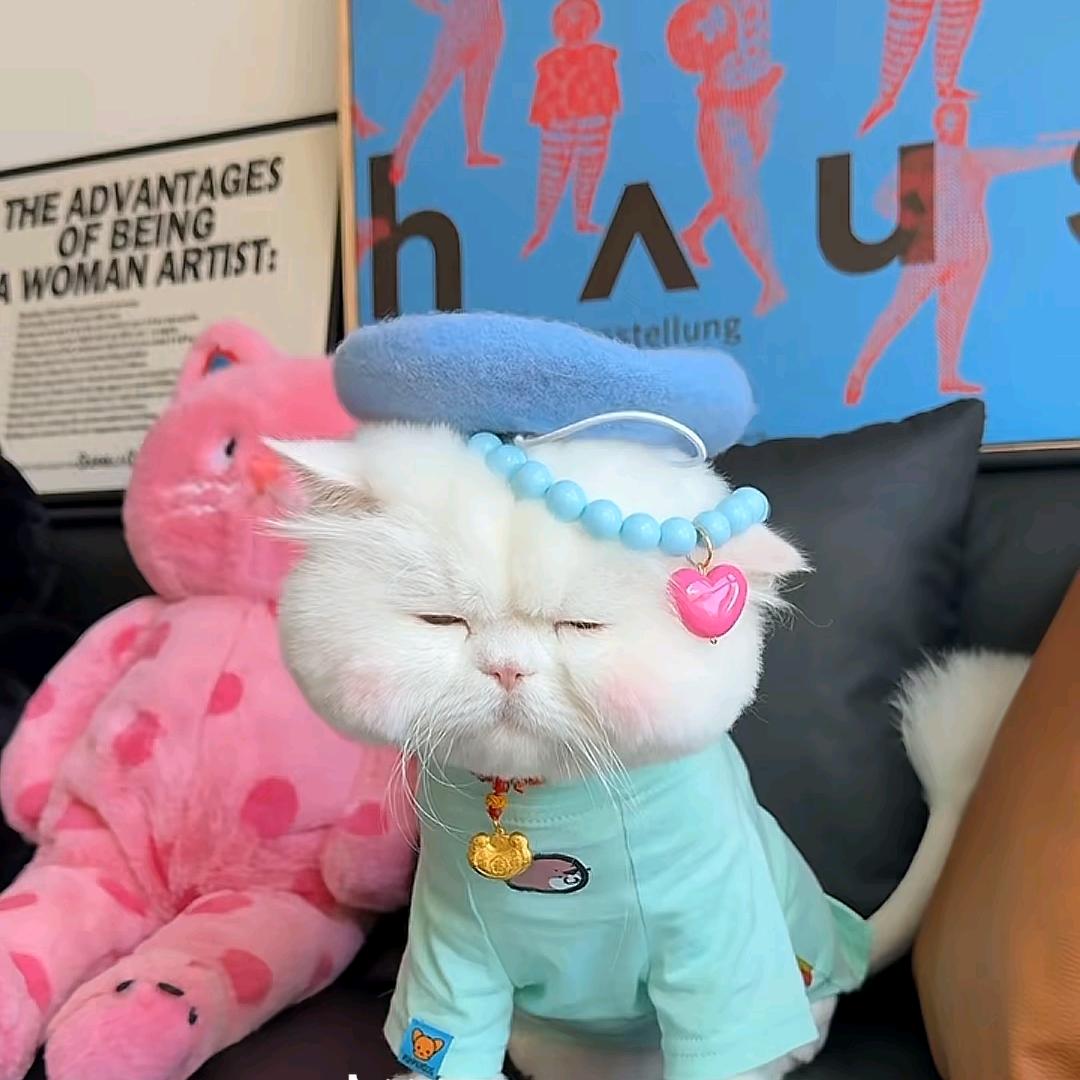 角落生物